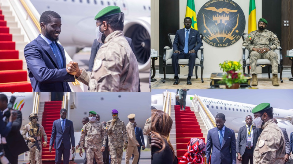 BASSIROU DIOMAYE FAYE À BAMAKO DEVANT ASSIMI GOÏTA : «La position malienne, quoique rigide, n'est pas totalement inflexible… la Cedeao est très malmenée, mais nous ne devons pas nous résigner» BASSIROU DIOMAYE FAYE À BAMAKO DEVANT ASSIMI GOÏTA : «La position malienne, quoique rigide, n'est pas totalement inflexible… la Cedeao est très malmenée, mais nous ne devons pas nous résigner»