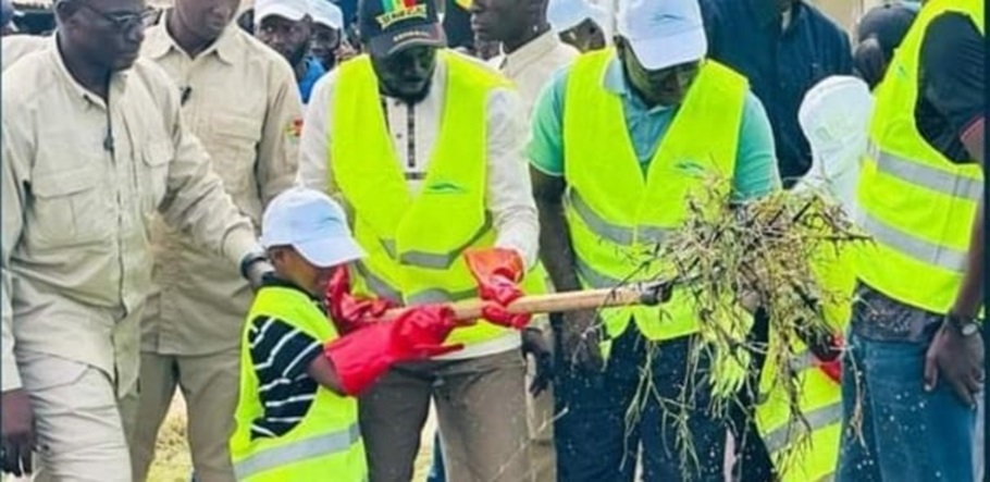 DIOMAYE FAYE SUR LA JOURNEE DE NETTOIEMENT NATIONAL : «C’est un défi permanent, un comportement que nous cherchons à imprimer dans notre ADN collective»
