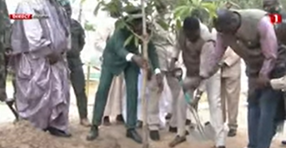 JOURNEE NATIONALE DE L'ARBRE : Bassirou Diomaye Faye plante son manguier et donne des assurances pour le Magal de Touba JOURNEE NATIONALE DE L'ARBRE : Bassirou Diomaye Faye plante son manguier et donne des assurances pour le Magal de Touba