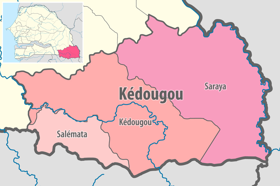 KEDOUGOU : Pastef gagne largement dans les trois départements