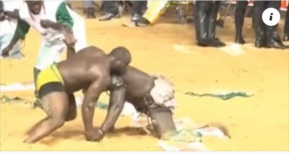 COMBAT ROYAL : DANS LA DOULEUR ET SUR AVERTISSEMENT : Modou Lo conserve sa couronne devant Siteu en allant chez Ardo pour une première fois COMBAT ROYAL : DANS LA DOULEUR ET SUR AVERTISSEMENT : Modou Lo conserve sa couronne devant Siteu en allant chez Ardo pour une première fois
