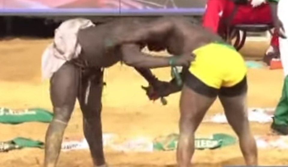 SANCTIONS FINANCIERES APRES LE COMBAT ROYAL : Modou Lô et Siteu perdent respectivement 2.030.000 F Cfa et 2.730.000 F Cfa SANCTIONS FINANCIERES APRES LE COMBAT ROYAL : Modou Lô et Siteu perdent respectivement 2.030.000 F Cfa et 2.730.000 F Cfa