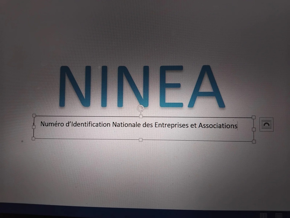 Ninea : 23.713 nouvelles unités enregistrés, soit une hausse de 5,8%