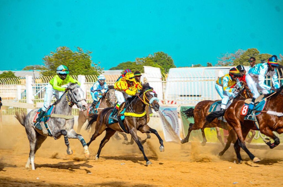 Résultat de la sixième journée des courses hippiques organisée hippodrome municipal de Mbacké Résultat de la sixième journée des courses hippiques organisée hippodrome municipal de Mbacké