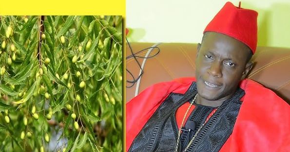 Querelle de voisinage : le fameux marabout Ken bougoul bou Serigne Moustapha Sy placé sous mandat de dépôt