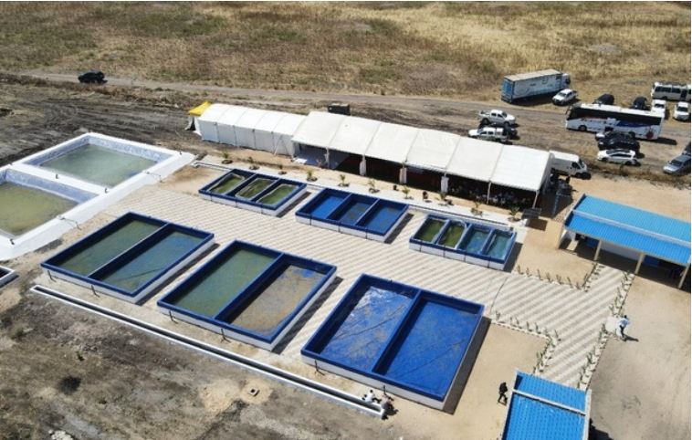 Mbodiène : L’Aquaculture et la Pisciculture proposées par l’ANA et Veolia pour lutter contre la migration irrégulière