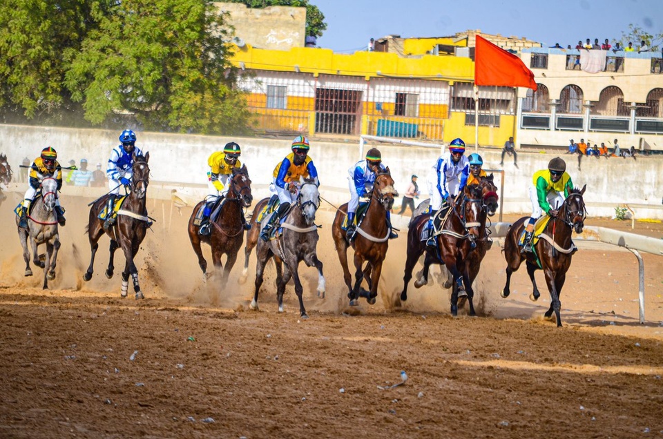Résultats 11e journée courses hippiques à l’hippodrome Ndiaw Macodou Diop dédiée aux disparus Résultats 11e journée courses hippiques à l’hippodrome Ndiaw Macodou Diop dédiée aux disparus