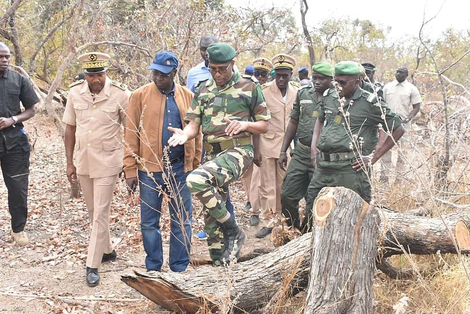 Sécurisation de nos ressources forestières sénégal Sécurisation de nos ressources forestières sénégal