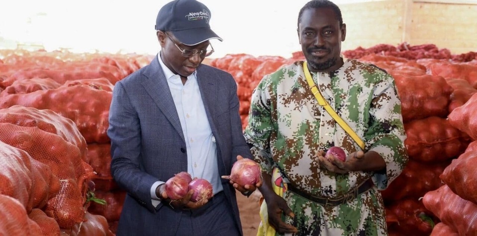 LOUMA DU MARCHE D’INTERET NATIONAL : Mabouba Diagne et le casse-tête de l’écoulement et du stockage des produits horticoles LOUMA DU MARCHE D’INTERET NATIONAL : Mabouba Diagne et le casse-tête de l’écoulement et du stockage des produits horticoles