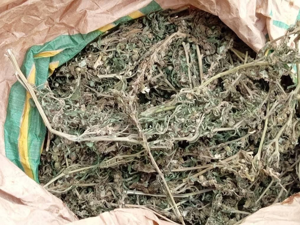 04 personnes appréhendées 04 personnes appréhendées