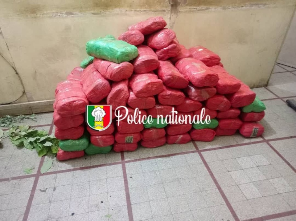 Kaolack : 82 kg de chanvre indien saisis, un convoyeur interpellé Kaolack : 82 kg de chanvre indien saisis, un convoyeur interpellé