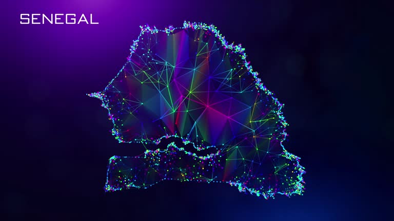 ENQUETE NATIONALE SUR LES TECHNOLOGIES DE L’INFORMATION ET DE LA COMMUNICATION AU SENEGAL (ENTICS) : Le niveau d’accès, d’usage et d’appropriation par les ménages, les entreprises et l’administration publique actualisé et fiabilisé