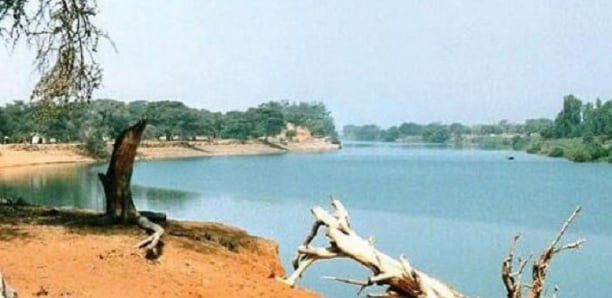 Simenti et Mako, des cas dans le cas