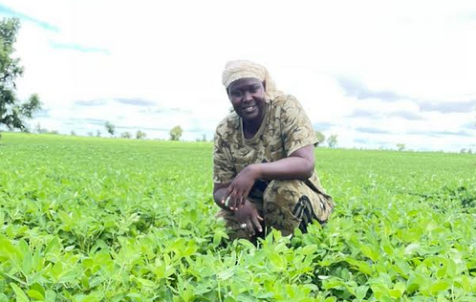 Agriculture : Amy Ndiaye Gniby reçoit les félicitations de Mabouba Diagne Agriculture : Amy Ndiaye Gniby reçoit les félicitations de Mabouba Diagne