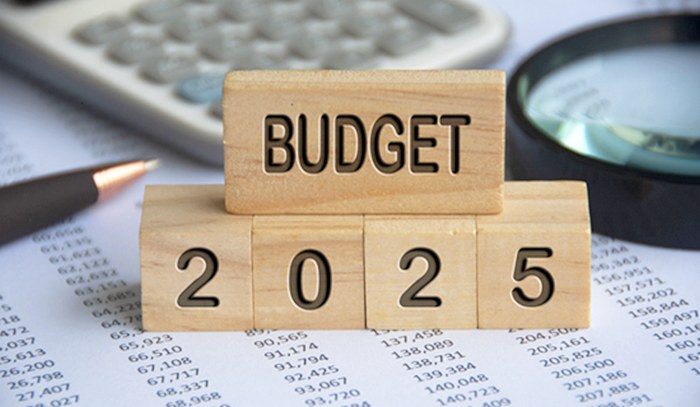 FINANCES PUBLIQUES JUIN 2025 : Les recettes fiscales en hausse de 179,5 milliards par rapport à juin 2024