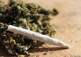 TRAFIC DE DROGUE A DIAMAGUENE/SICAP MBAO : Un dealer surpris avec un joint à la bouche et son arsenal