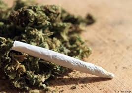 Trafic, détention et usage de chanvre indien