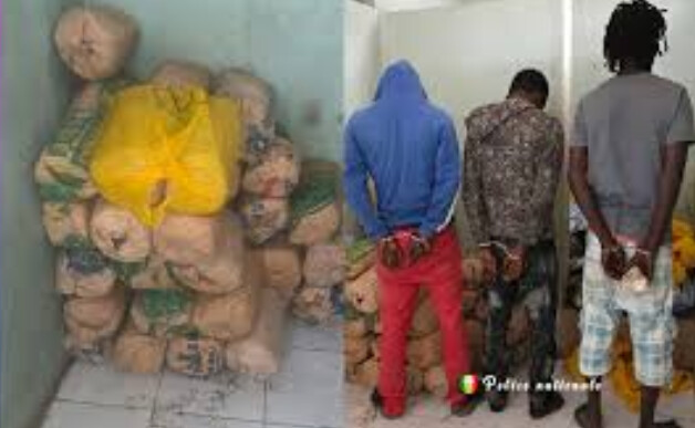 RUFISQUE : Arrestation pour trafic de chanvre indien