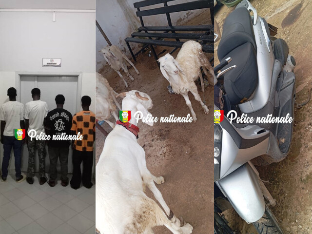 Arrestation d'un gang de voleurs à Thiaroye