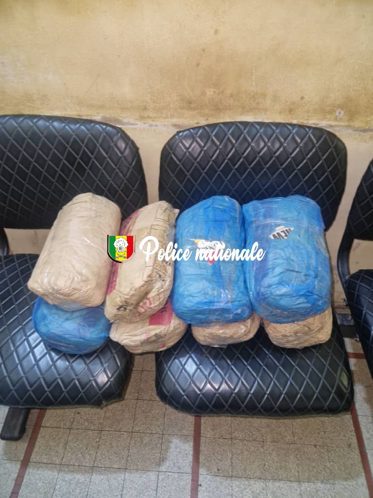 8 kilogrammes de chanvre saisis à Kaolack par L'Ocrtis