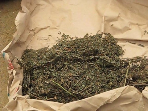 1kg de chanvre indien saisi à Dakar