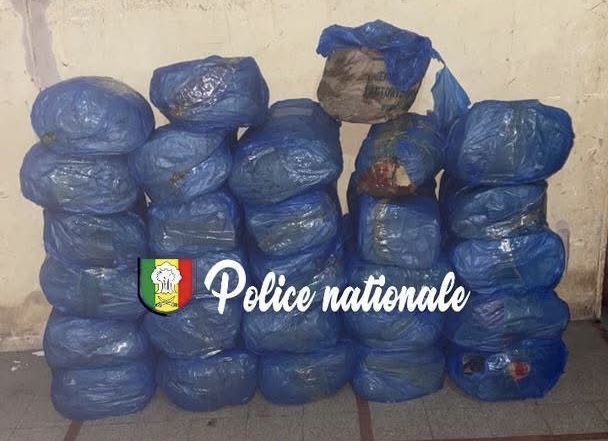 Saisie de 29 kilogrammes de chanvre indien