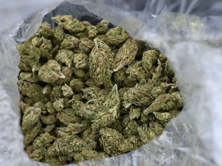 TRAFIC DE DROGUE : Une opération conjointe Maroc–Sénégal fait tomber un vaste réseau entre Dakar et Bissau