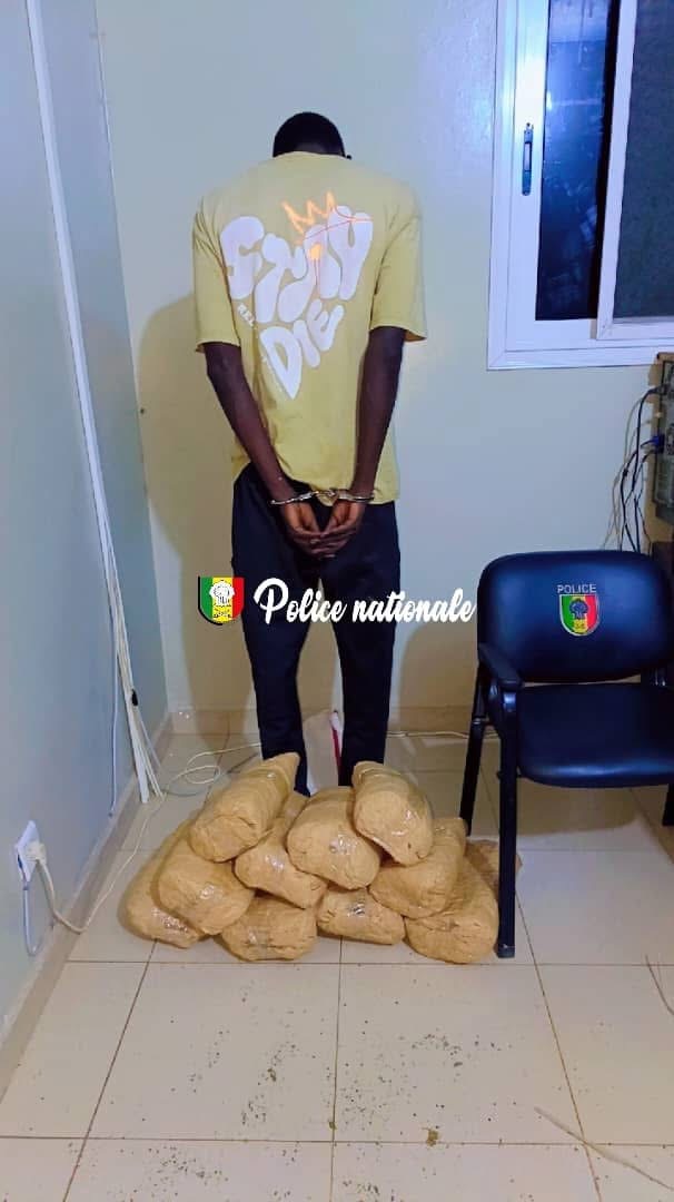 Trafic de chanvre à rufisque