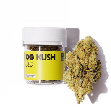 LUTTE ANTIDROGUE EN GAMBIE : Quatre Sénégalais arrêtés dans la vague d’interpellations liées au “kush”