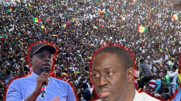 PAPE MALICK NDOUR DÉMENT OUSMANE SONKO DANS L’AFFAIRE PRODAC : «On m’accuse d’avoir été entendu et épinglé par un homme disparu avant ma nomination »