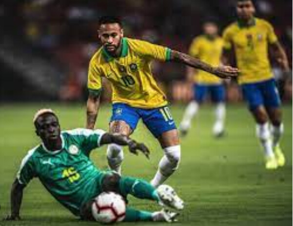 choc face au Brésil samedi 12 Lions au premier galop hier