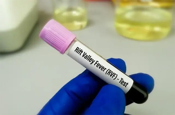 Fièvre de la vallée du Rift et Mpox : les chiffres de la situation