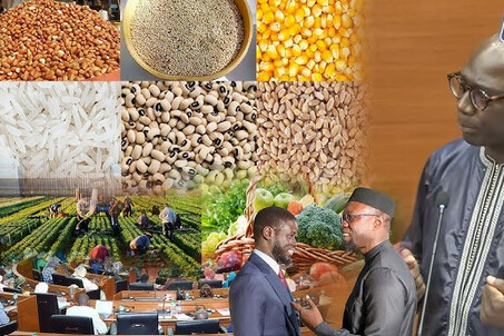 CHEIKH DIBA LORS DU VOTE DU BUDGET DU MINISTERE DE L’AGRICULTURE … : « La solution de l’agriculture n’est pas toujours budgétaire, il faut réussir le pari du rendement »