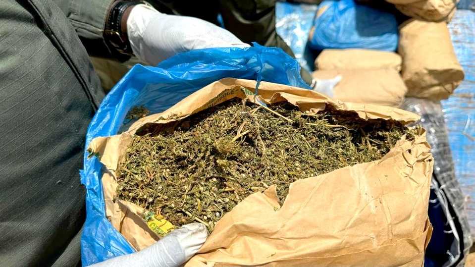 Saisie d'une cargaison de chanvre indien estimée à 24 millions de nos francs Saisie d'une cargaison de chanvre indien estimée à 24 millions de nos francs