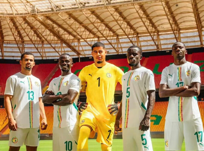 MAILLOTS DES LIONS, T-SHIRTS, BLOUSONS : Entre boutique officielle et réseaux sociaux, la fièvre monte, le marché explose