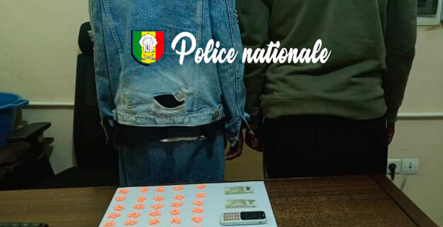 Association de malfaiteurs et trafic international d'Ecstasy : la Brigade Ocrtis de Fatick tape fort