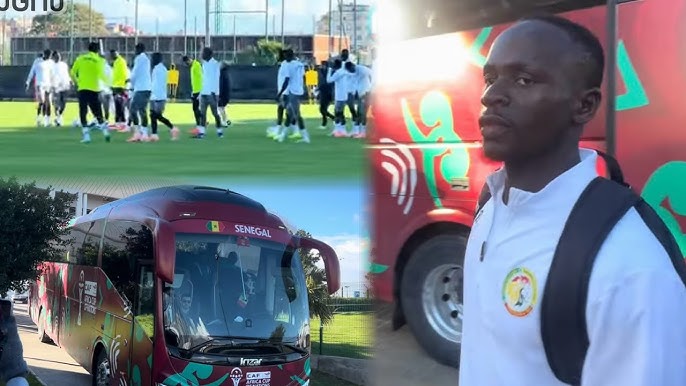 GALOP D'AVANT-MATCH : Les Lions affichent sérénité, solidarité et ambition