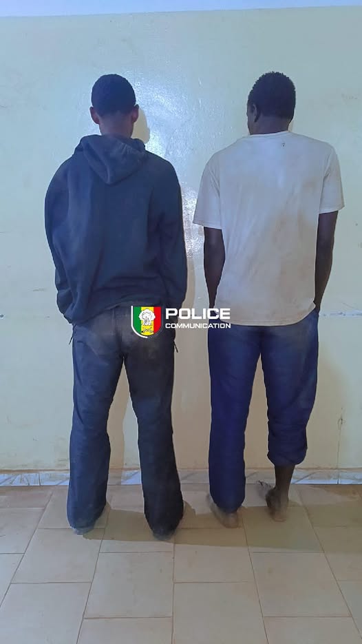 Actes contre-nature : la police arrête deux individus