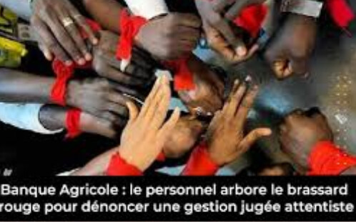 CRISE SOCIALE A LA BANQUE AGRICOLE : Le personnel, en brassards rouges, pour exiger une refonte de la gestion