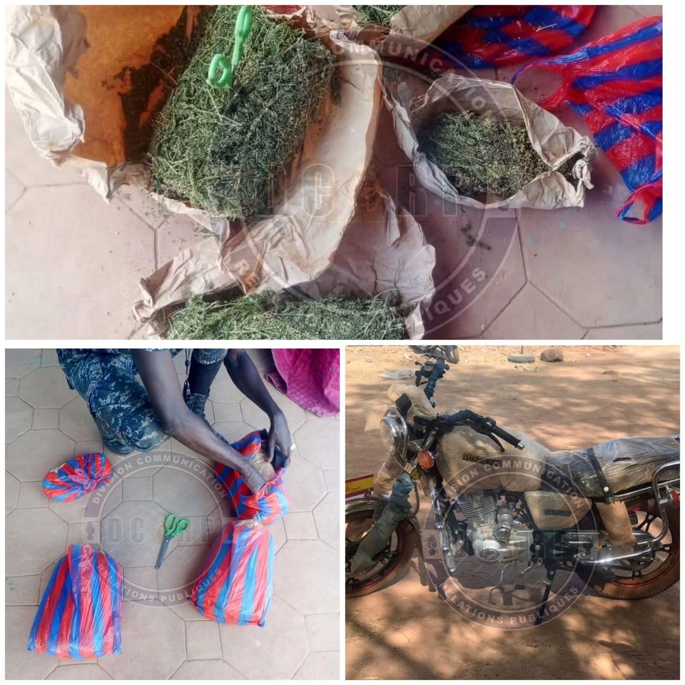 Lutte contre le trafic de stupéfiants: 04 kilogrammes de chanvre indien saisis Lutte contre le trafic de stupéfiants: 04 kilogrammes de chanvre indien saisis