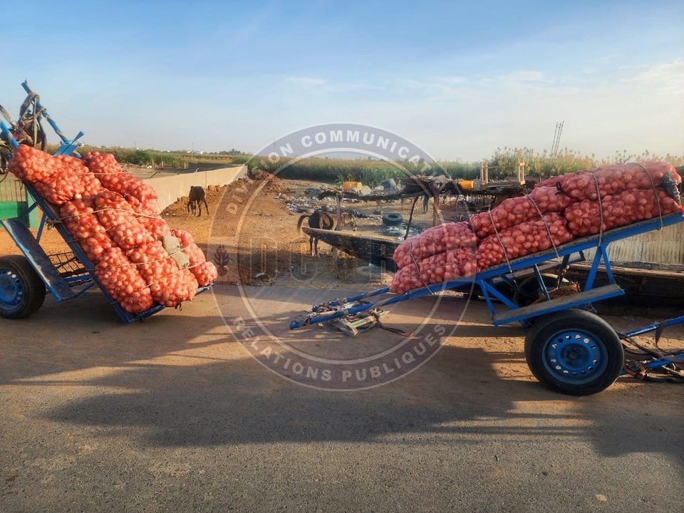11 personnes arrêtées pour trafic de produits agricoles