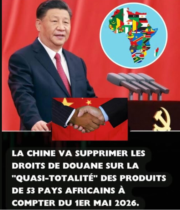Le traitement tarifaire nul proposé par la Chine risque de léser les pays africains les moins avancés