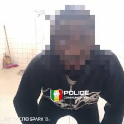 Vol de deux-roues et grand banditisme : la Police arrête le cerveau et sa bande