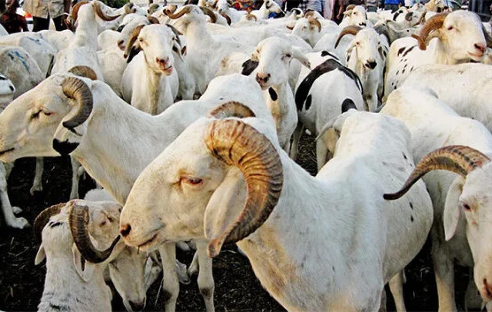 Tabaski 2026 : vers le 28 mai prochain