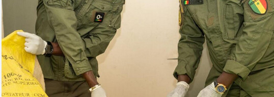 FAUX MONNAYAGE À THIAROYE AZUR : 6 milliards F Cfa saisis par la Douane