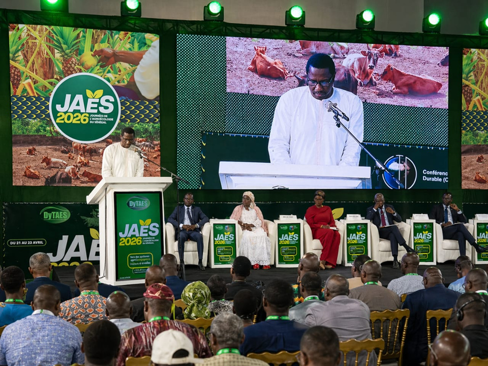 JOURNEES DE L’AGROECOLOGIE 2026 : L'Agroécologie, une solution à la dépendance exogène des engrais JOURNEES DE L’AGROECOLOGIE 2026 : L'Agroécologie, une solution à la dépendance exogène des engrais