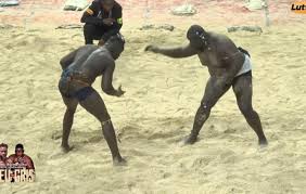 LUTTE SENEGALAISE – FESTIVAL INTERNATIONAL A PARIS : Gris Bordeaux piège Siteu et s’impose par avertissements