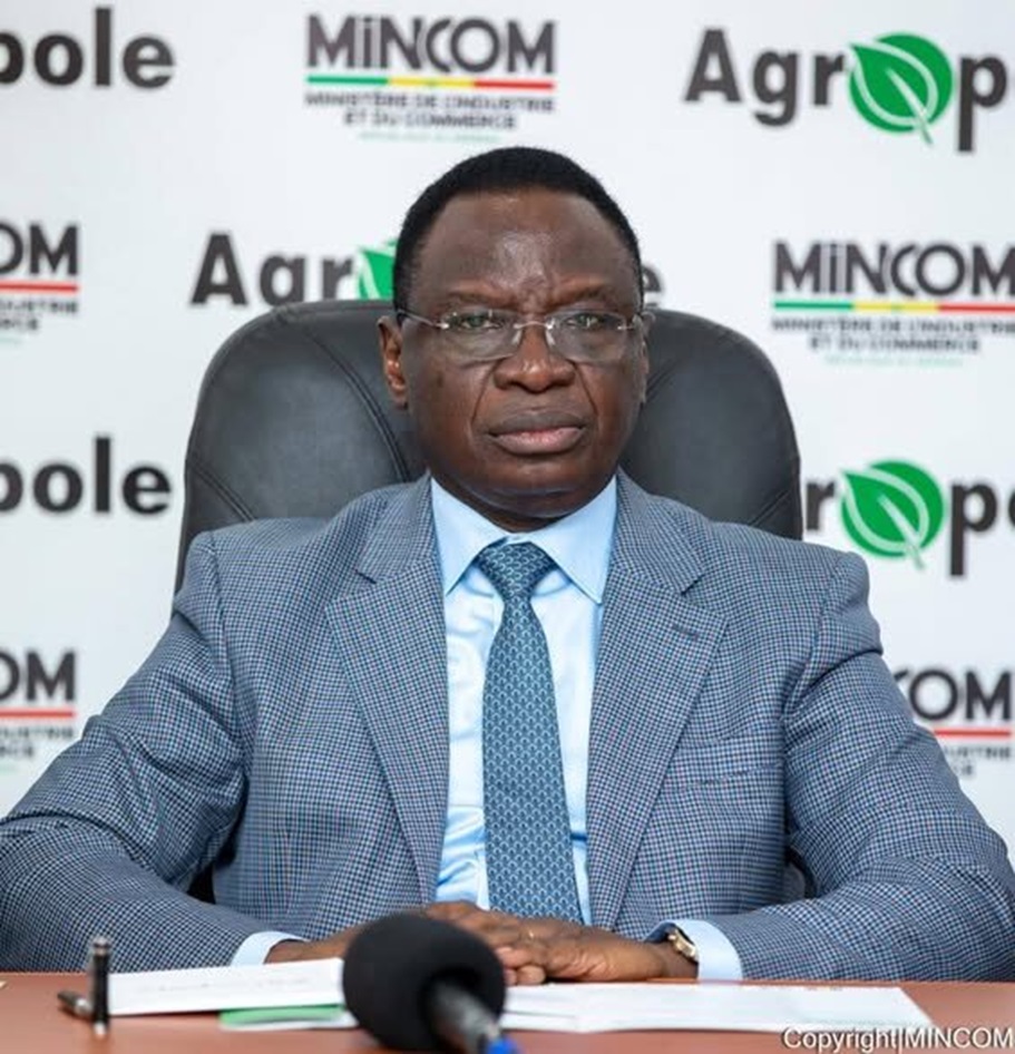 COORDINATION DES PROJETS AGROPOLES OU PZTA-AGROPOLES DU SENEGAL : Serigne Guèye Diop installe une dyarchie et un malaise profond