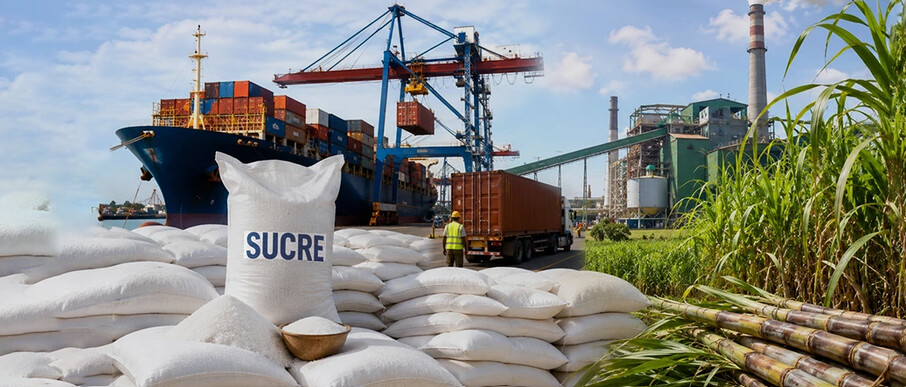 Le Ministère du Commerce ouvre le marché de l'importation du sucre à partir de demain