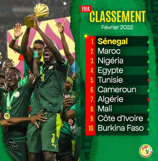 CLASSEMENT FIFA : ALERTE ROUGE La chute continue pour les Lions